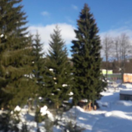 Boutique Apartment Petra Harrachov Luaran gambar