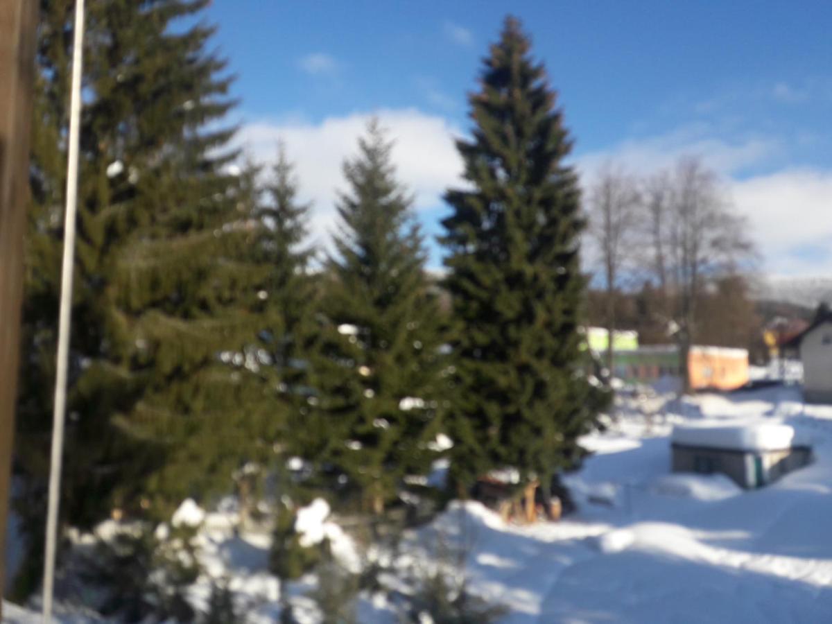 Boutique Apartment Petra Harrachov Luaran gambar